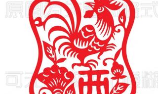 野肖是什么动物 尾巴难藏是什么生肖